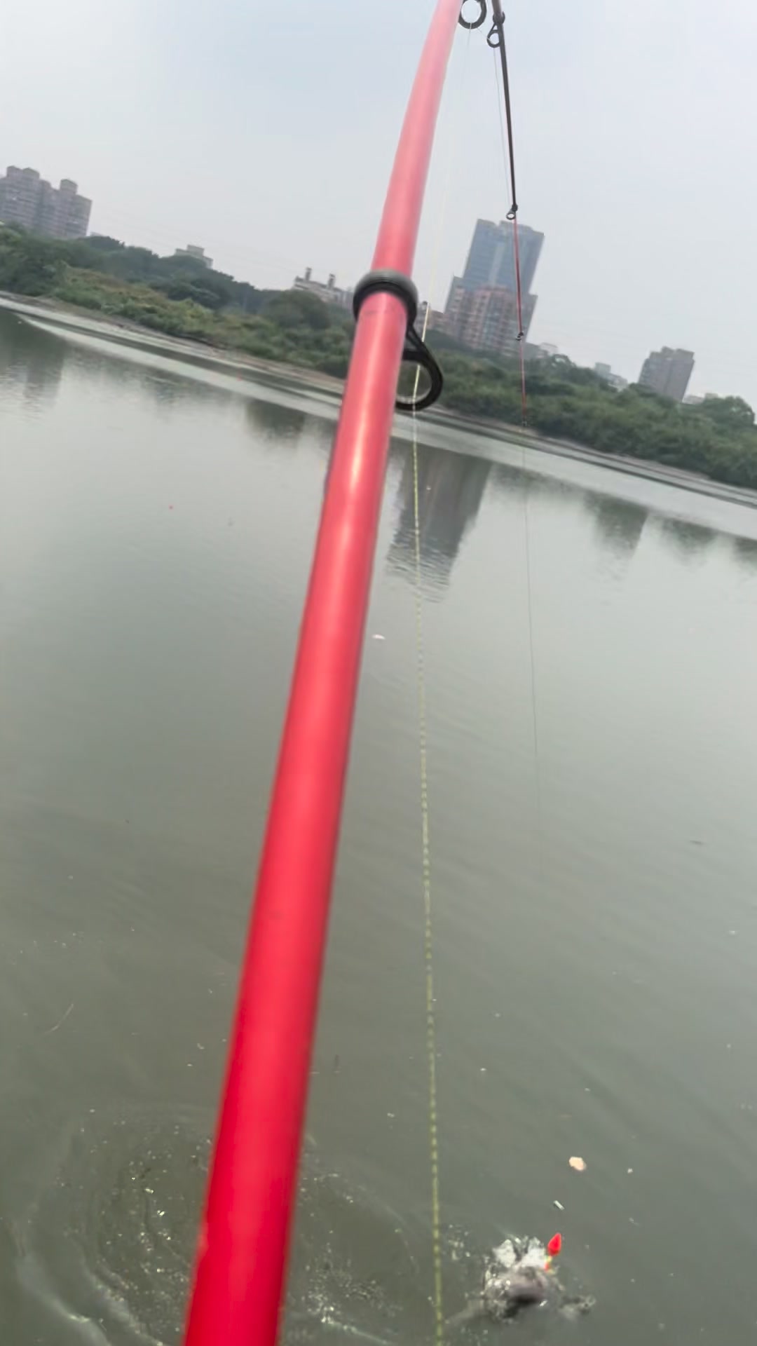 李旺杰 on Reels | Facebook