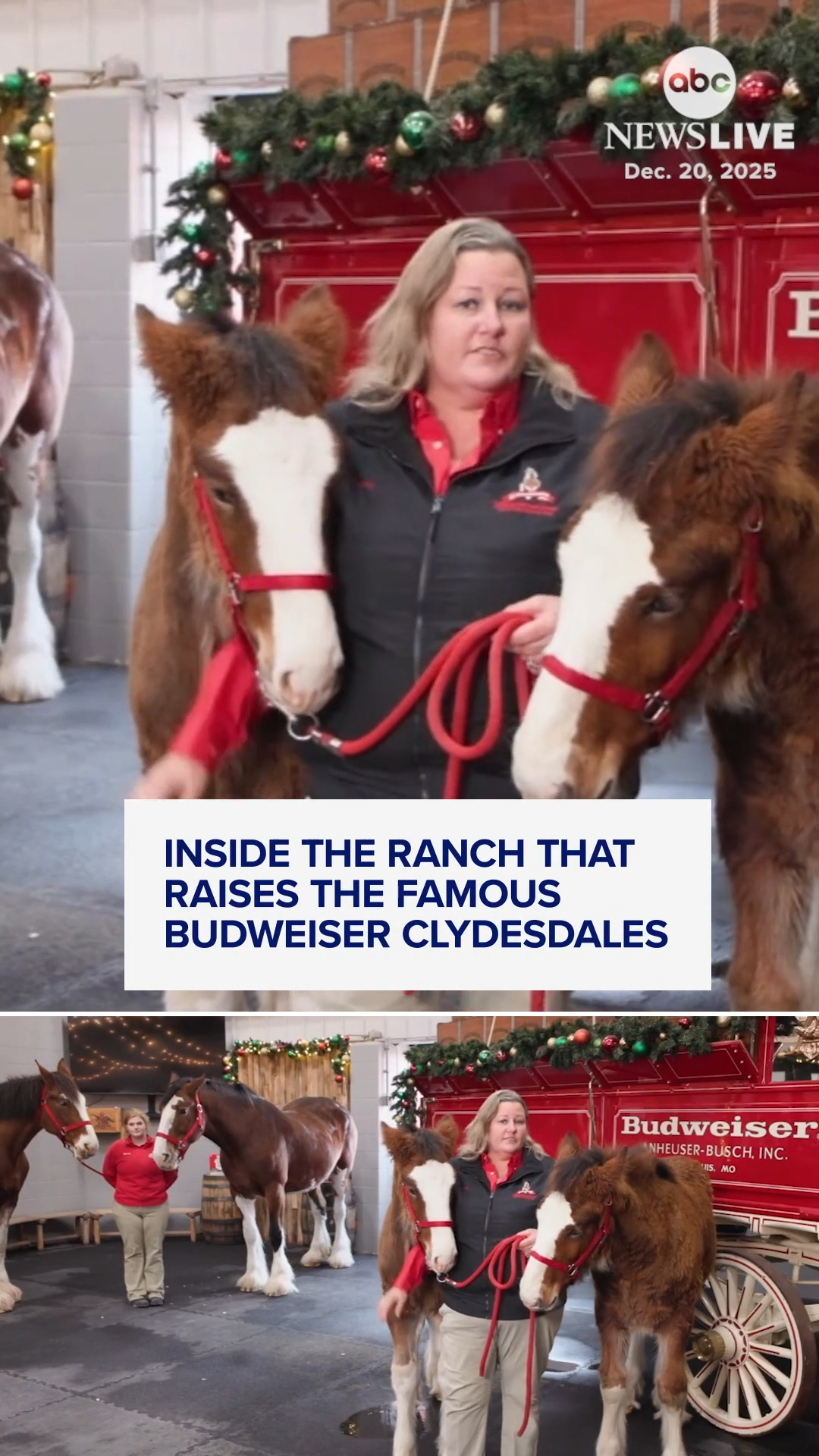 Warm Springs Ranch in Boonville, Missouri, is home to the iconic ...
