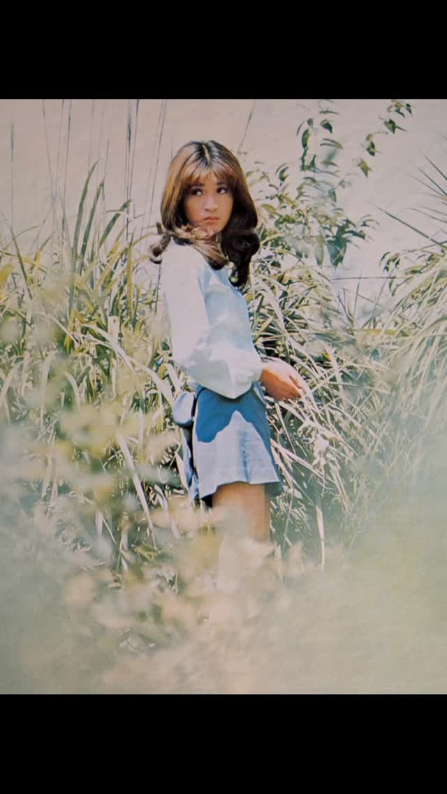 平山三紀 (Miki Hirayama) - ビューティフル・アルバム Vol.1 (My