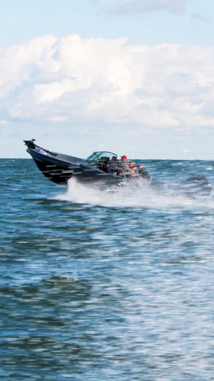 The V238 will exceed anything and everything you have come to expect ...