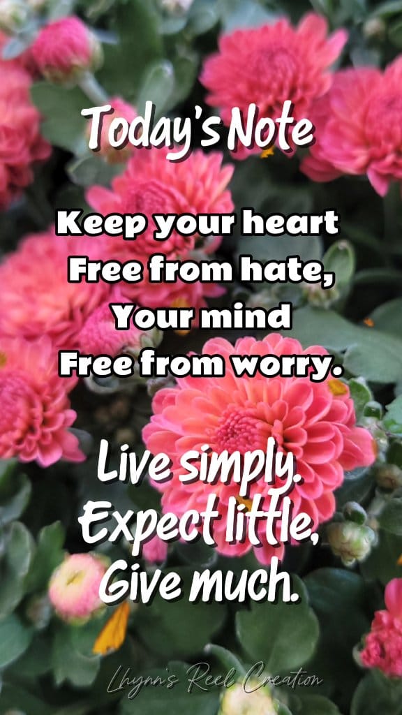 Today's Note: Keep your heart free from hate. Your mind free from.worry ...