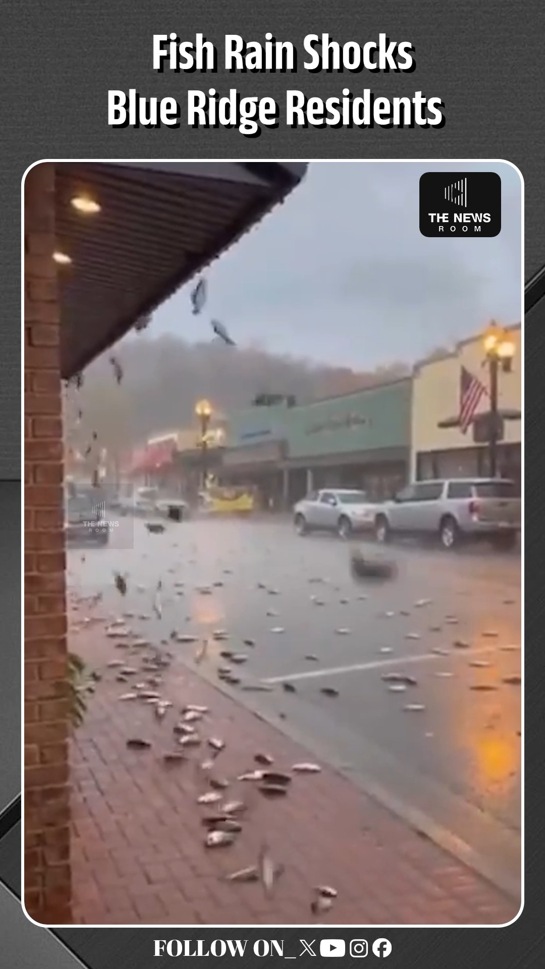 Bizarre Fish Rain Hits Blue Ridge Amid Heavy Storm A strange weather ...