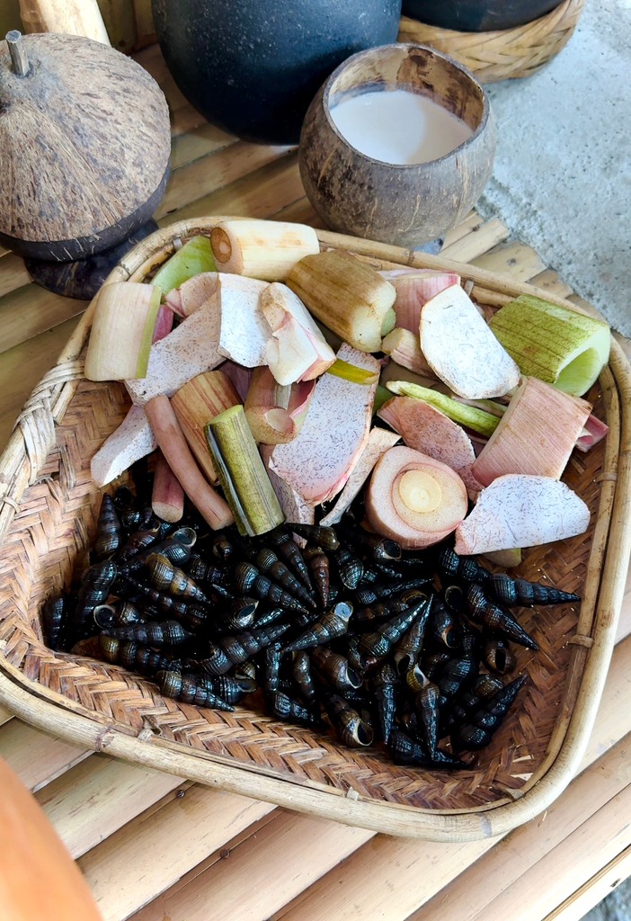 Ginataang Susong-pilipit in ilocano agurong with gabi gimasen jords ...