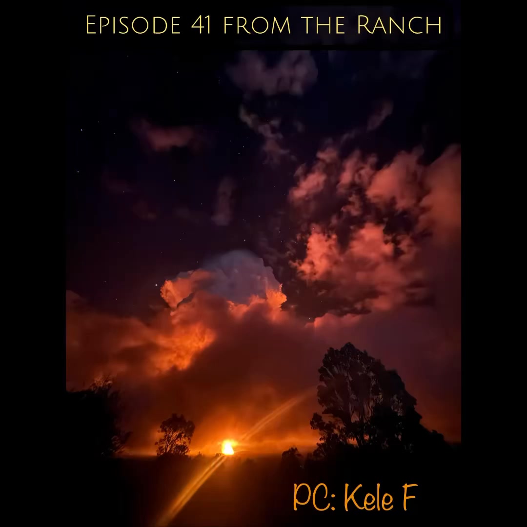 Kapapala Ranch | Pahala HI