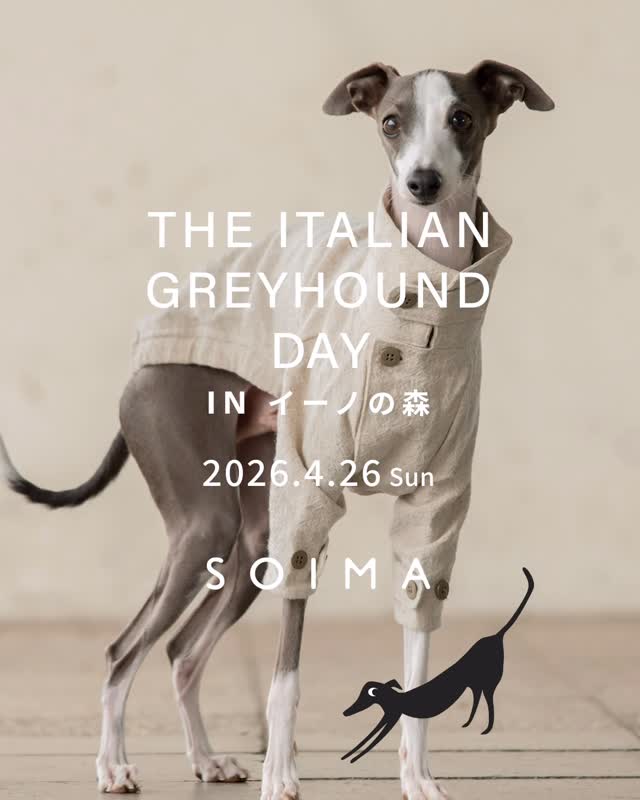 SOIMA イタグレ服 Sサイズ 2点セット