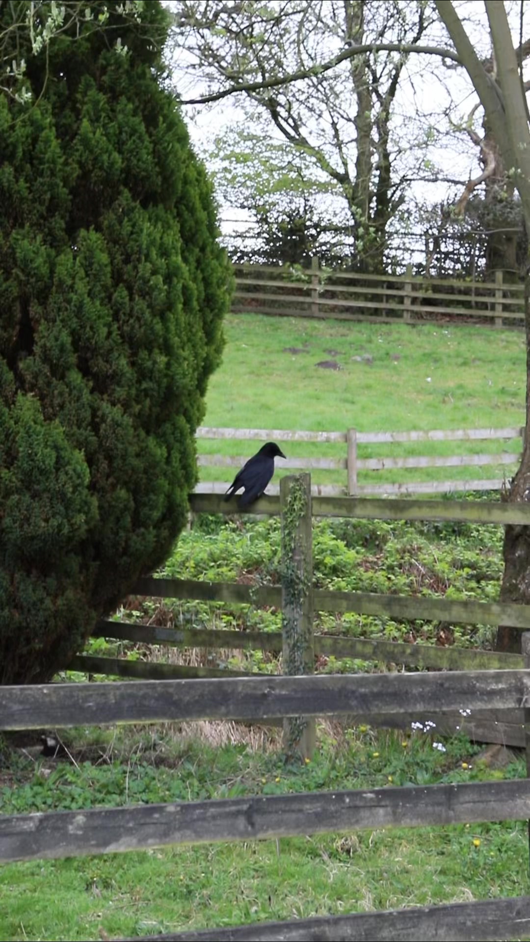 Are you joining in? It’s time for the RSPB Big Garden Birdwatch! From ...