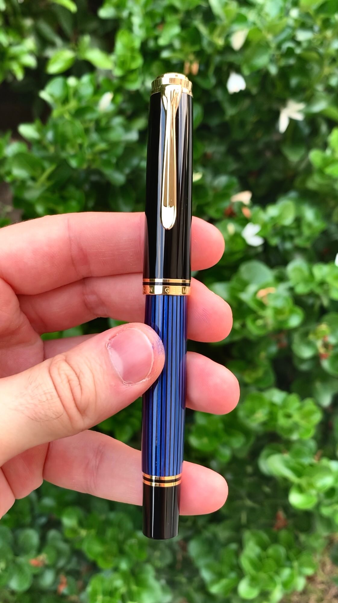 Pelikan Limited Edition M800 