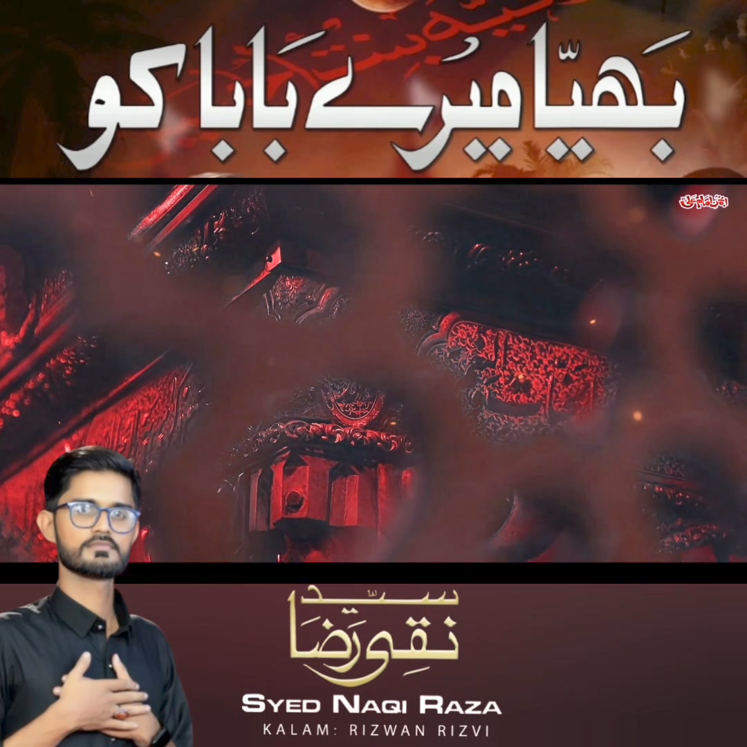 SYED NAQI RAZA ZAIDI