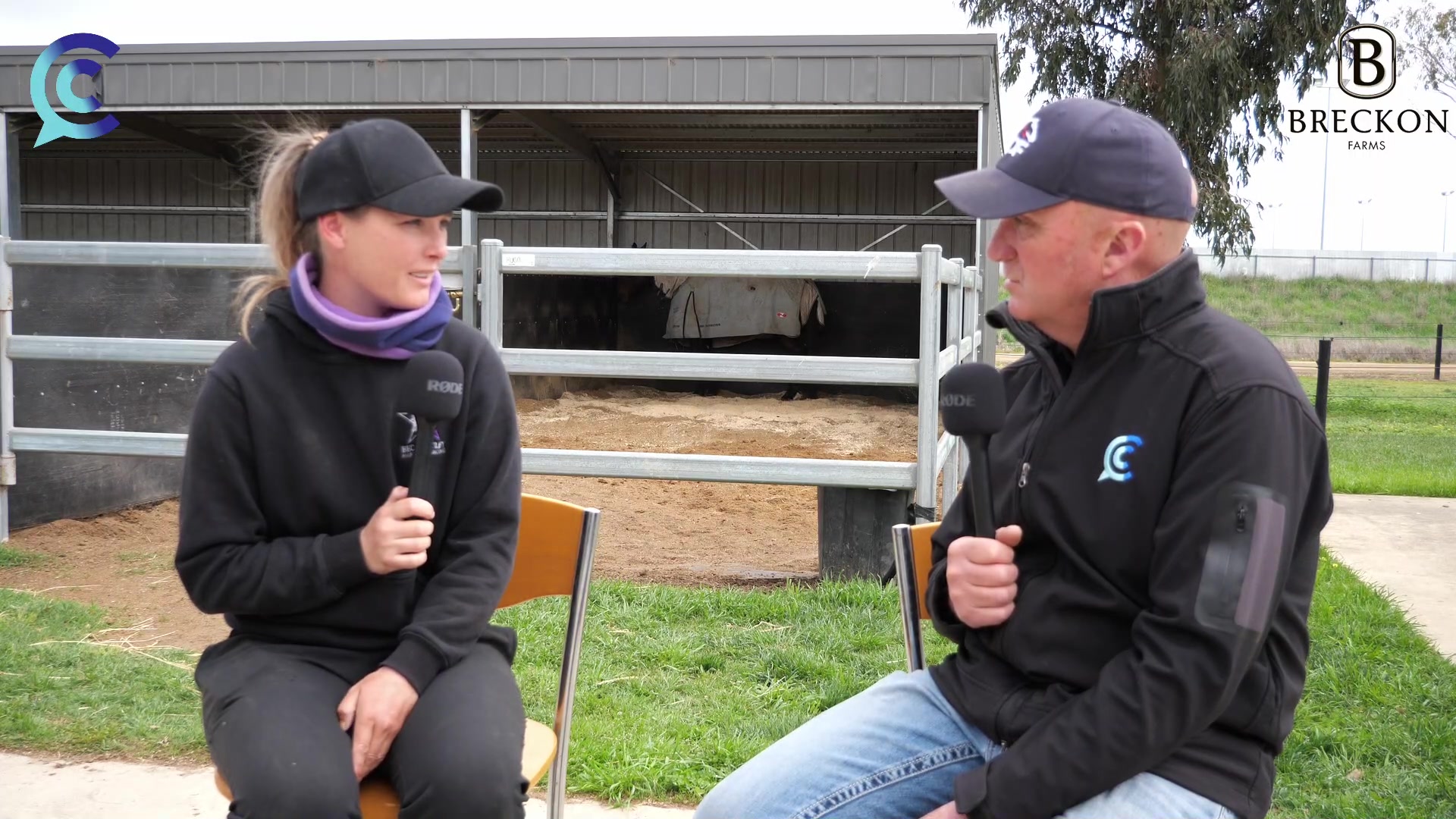 **Stable Chat** I recently sat down with Rebecca Bartley at her ...