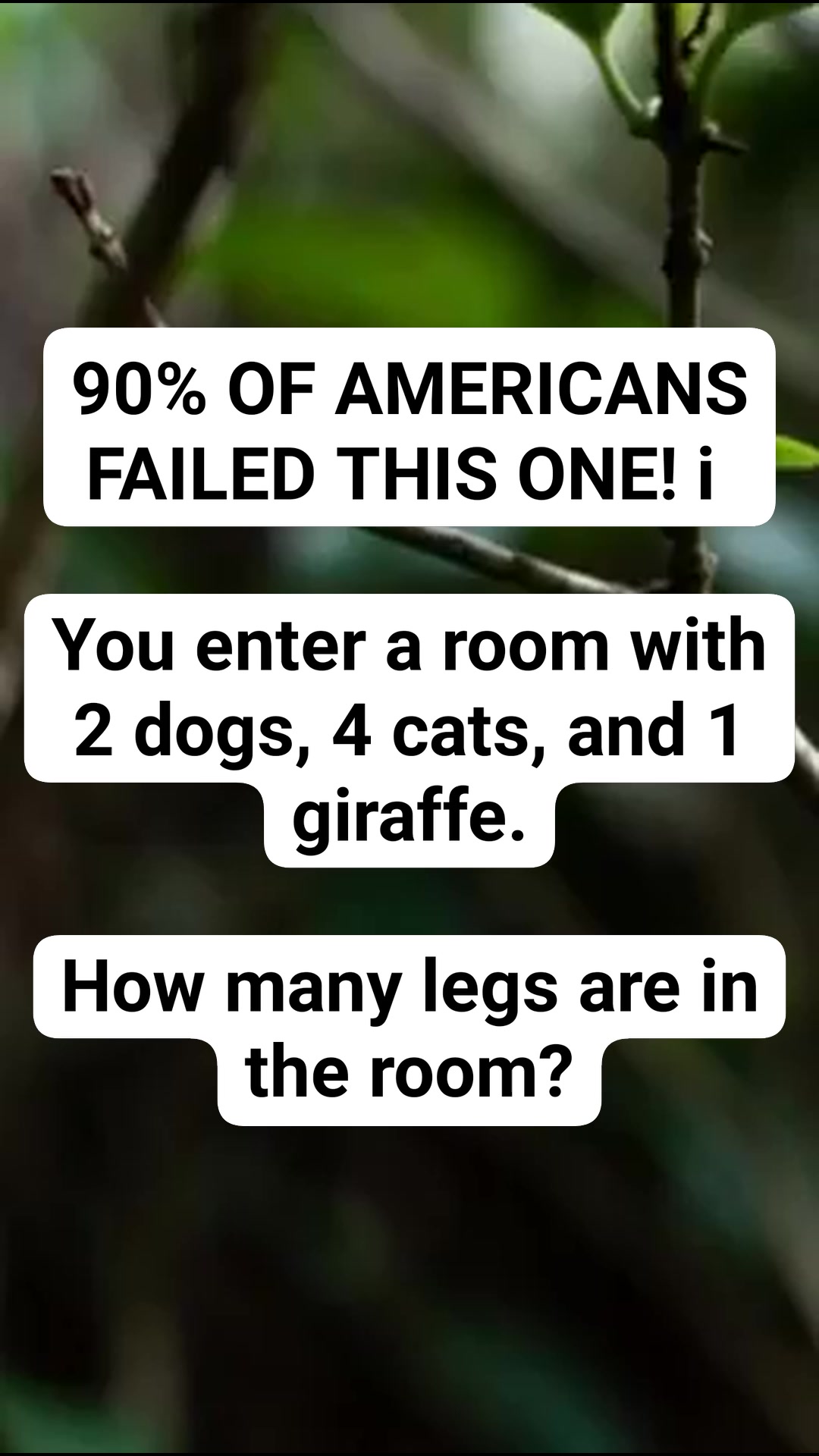 Riddle Challenge #riddle #brainteaserschallenge #riddlechallenge # ...