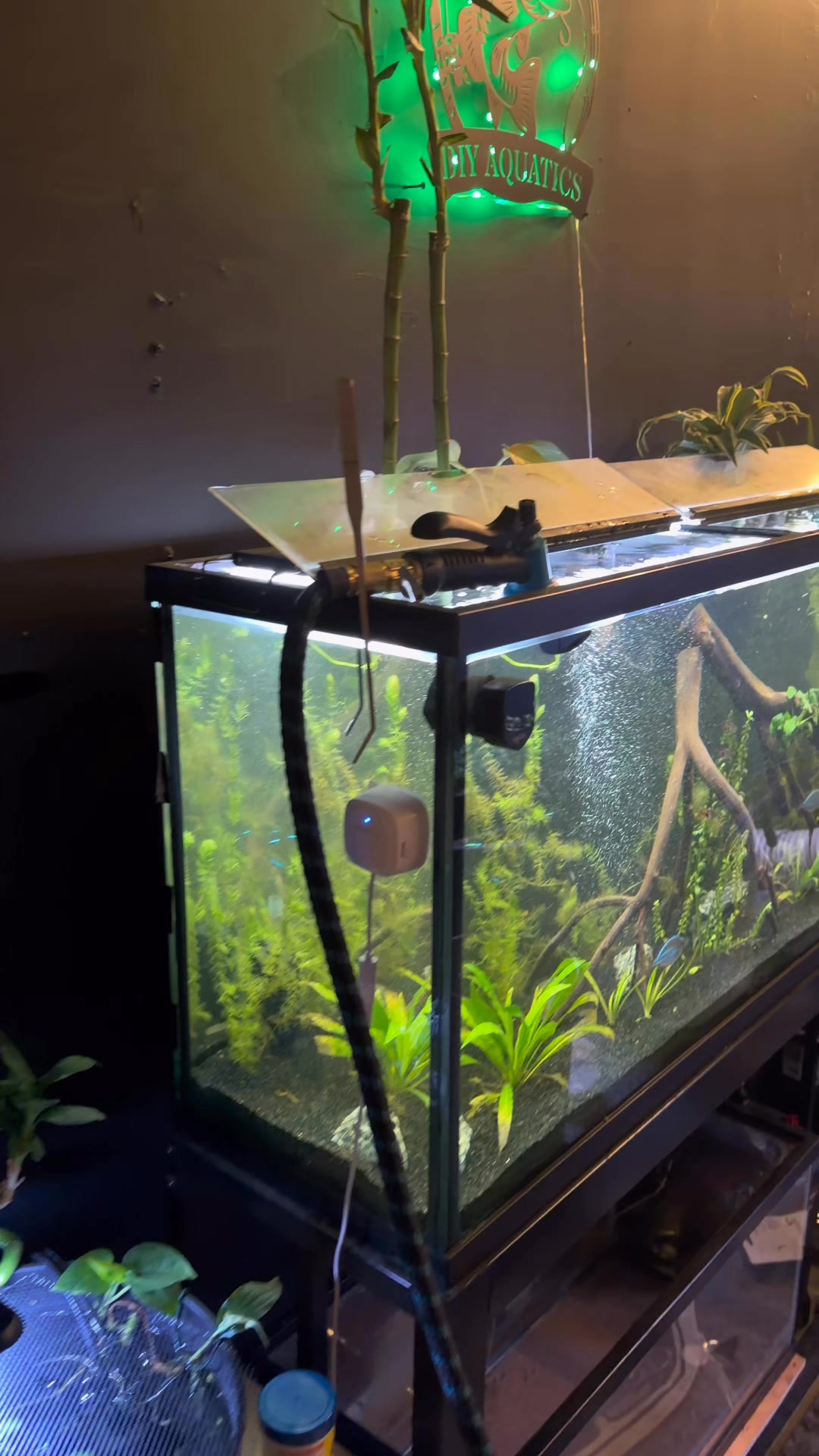 diy fish tank grow box Watertight Glass with LED Light, Acrylic Lid, Terrarium Kit- 25x25x30cm / 9.8x9.8x11.8'' DIY Fish Breeding Box 