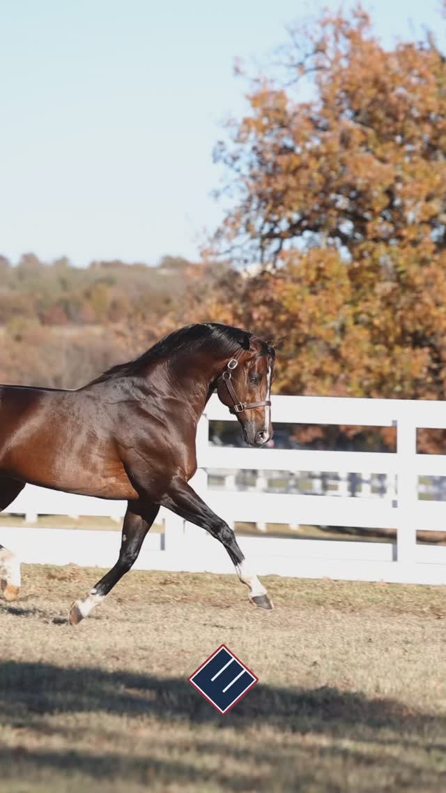 Reliance Ranches | Facebook