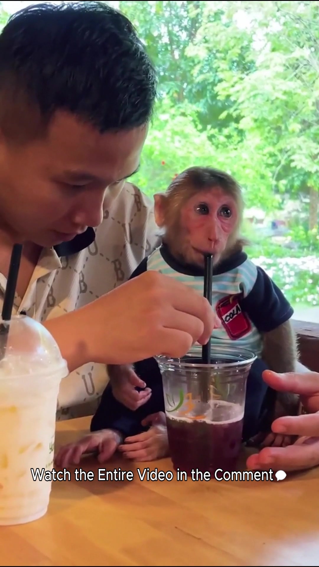 Monkey Cubis and Dad feed rabbits on the farm!. | Monkey TV | Facebook