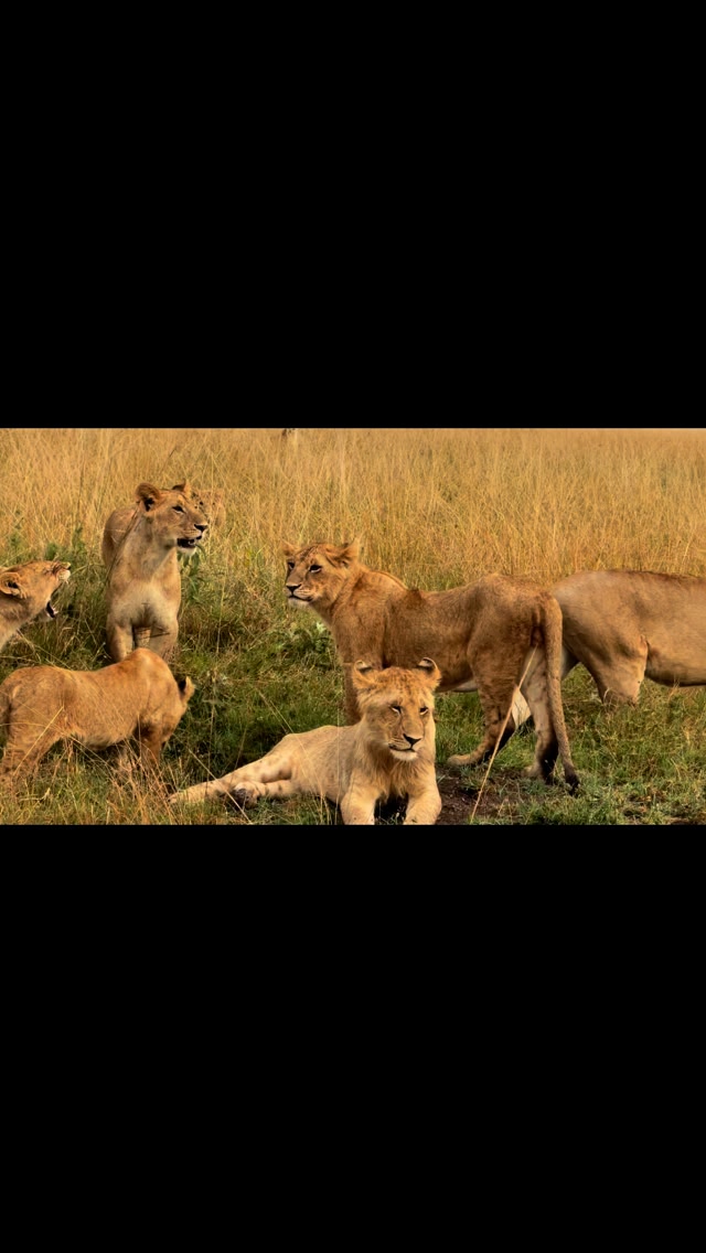 The mighty Rongai | Ben Letura | Facebook