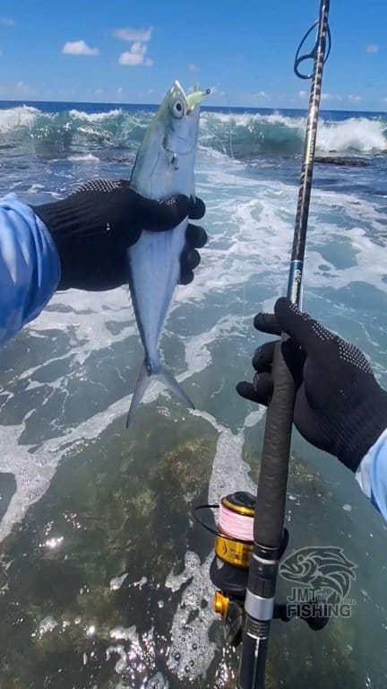 We're back and we're ON #fypシ゚ #fishing #ocean #followers #fish #fypシ゚ ...
