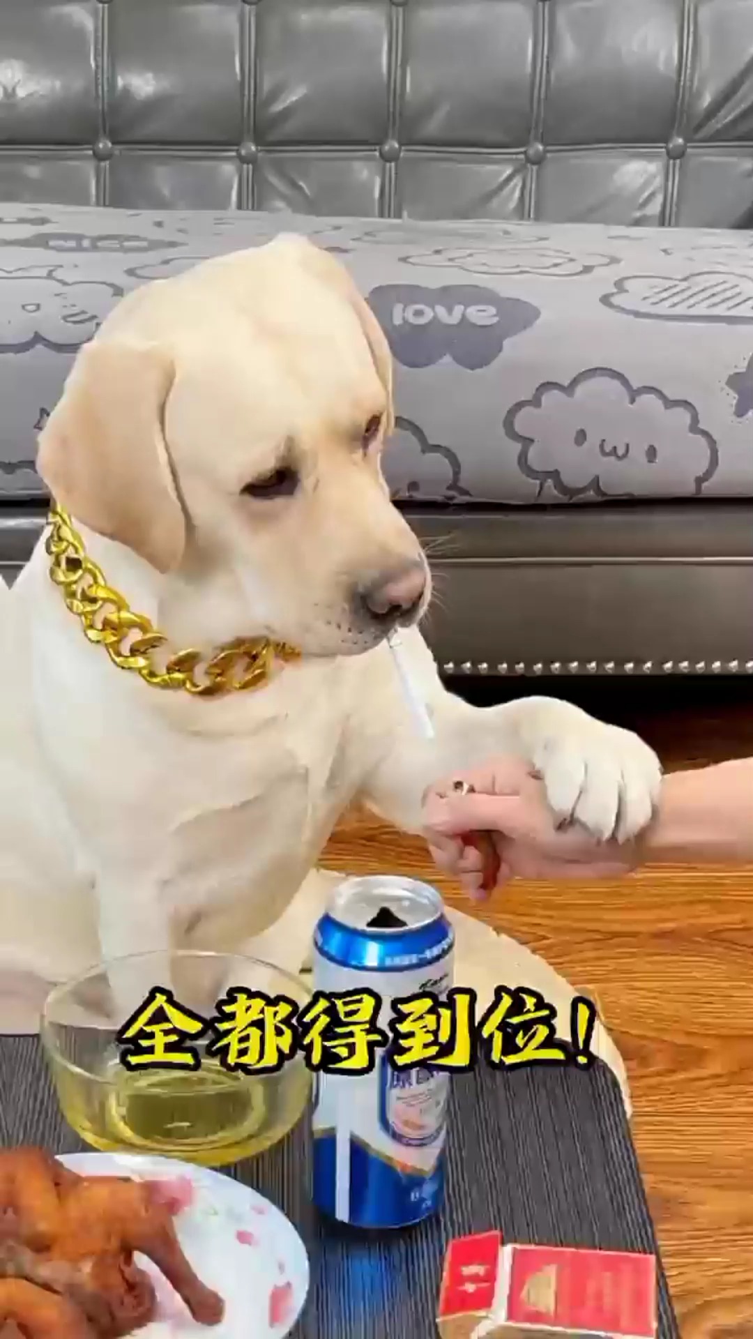 这狗子怎么人模狗样的 😂😅 #萌宠出道计划 #狗狗用品 #狗狗 | 辛巴和汤圆 | Facebook