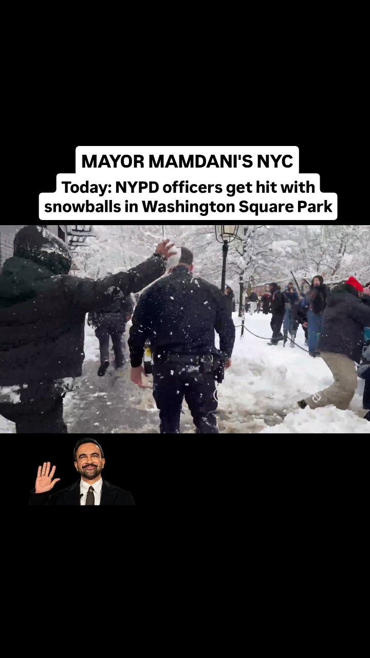 NYPD officers getting hit with snowballs in Washington Square Park. A ...