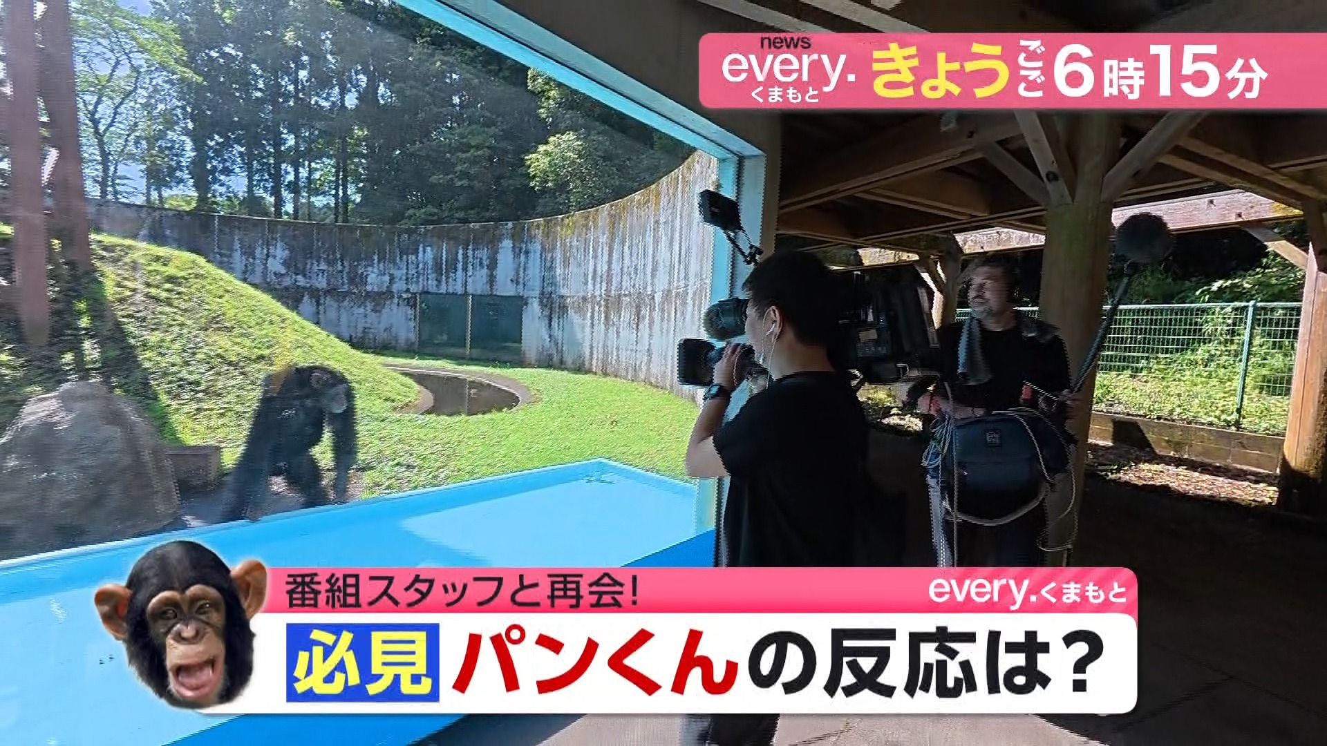 パンくん 今