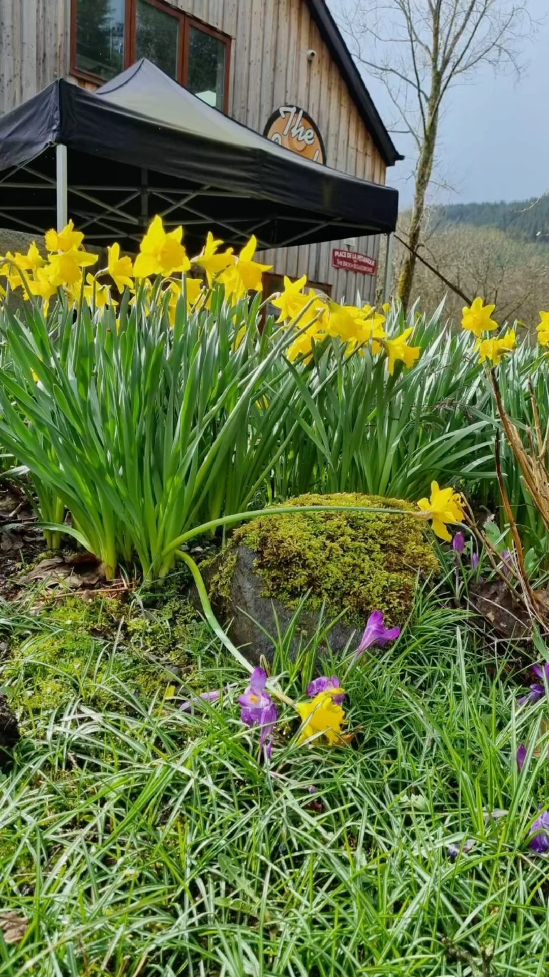 What a difference a year makes! #happyeaster #it’ssnowing #brochcafe # ...