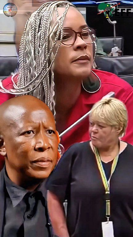 EFF vs DA: Leigh-Ann Mathys Clashes With Glynnis Breytenbach at Ad Hoc ...