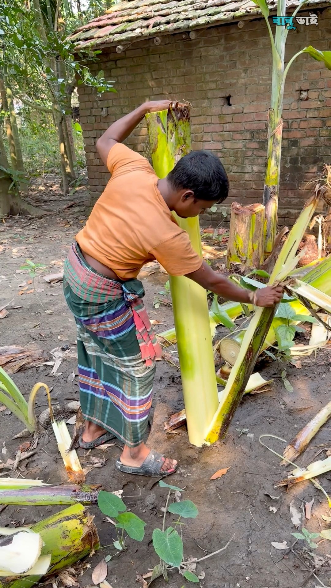  Foto zu কলাগাছ দিয়ে ফাইভার তৈরি করে রপ্তানি করছেন বিদেশে #Bangladesh #viral # 