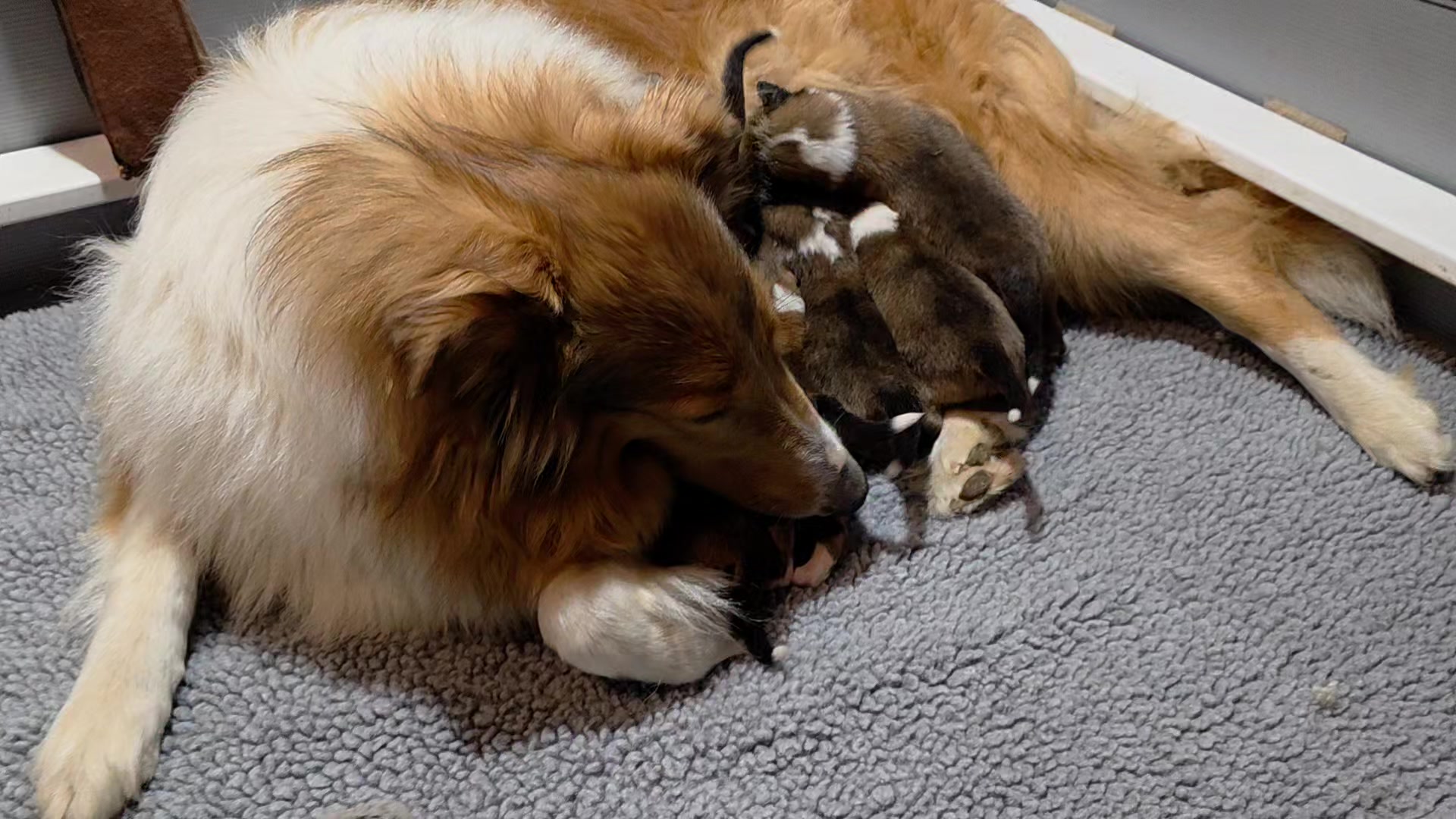 Nikki and babies