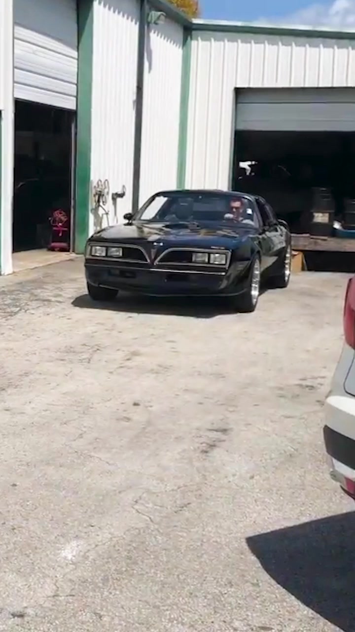 1977 Trans Am Special Edition Y82 Numbers Matching 4 SPEED Transmission ...