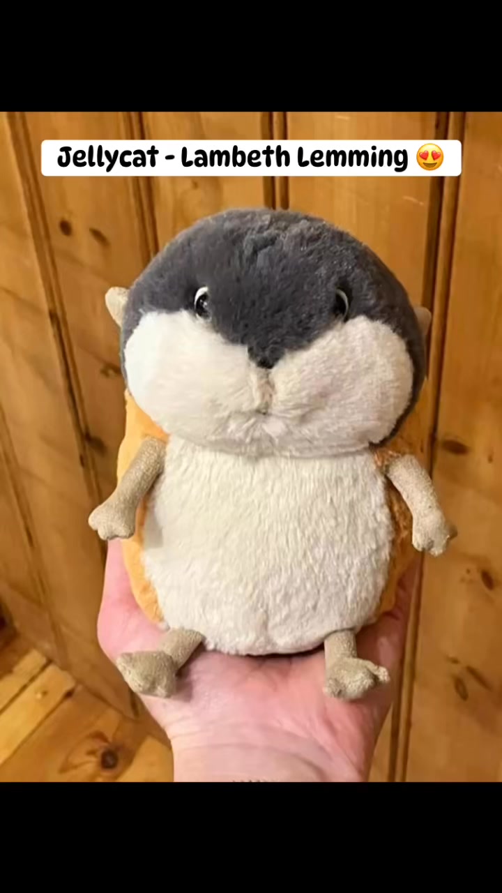 Just arrived… Take me home! 🥰 Sooo cute, Lambeth Lemming