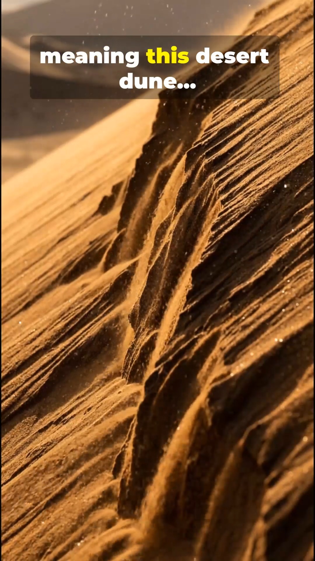 Scariest sound in the desert | Jeven Dovey