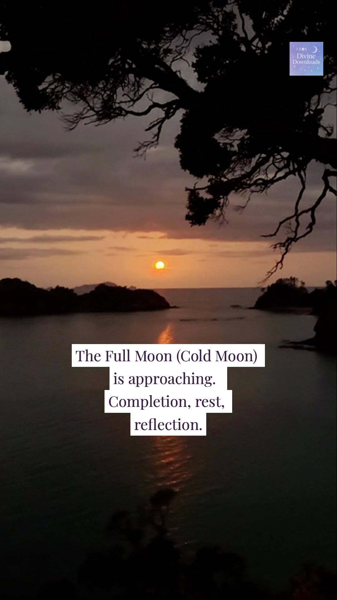 How are you preparing for the Full Moon (Cold Moon)? 🌙 #MoonMagic # ...