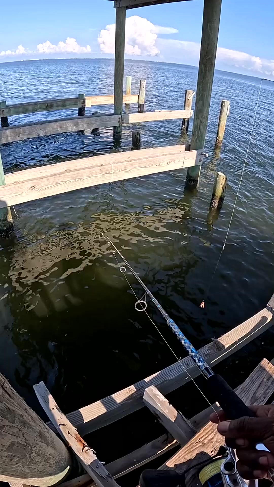 🔥🎣💯‼ #havingfun #funnyfishing #fishing | Hood Fishing Legend | Facebook