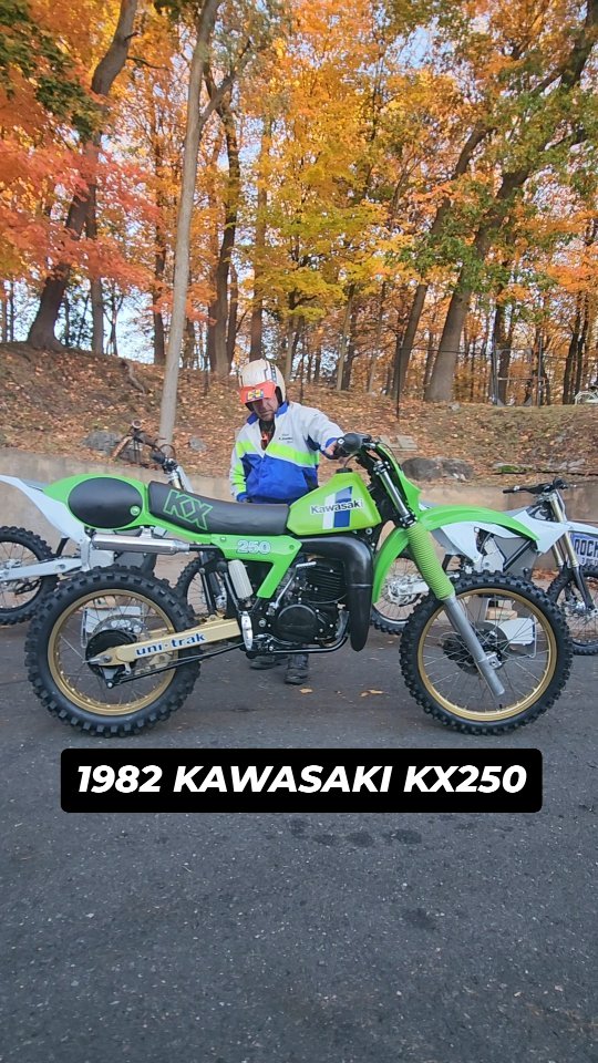 【中古】 ボクシング・デイ