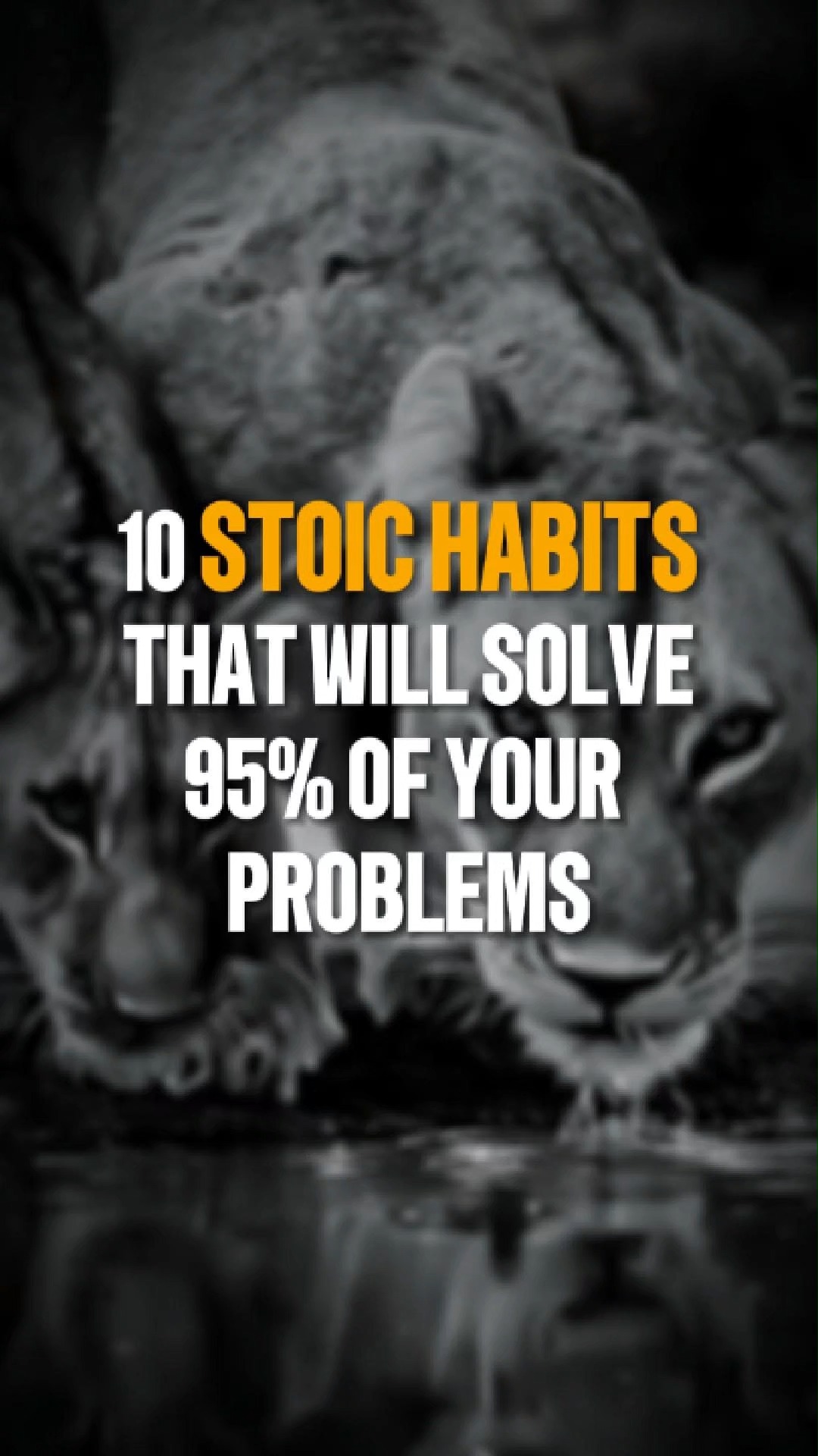 10 Stoic Habits That Will Solve 95% of Your Problem! #reel2025 # ...