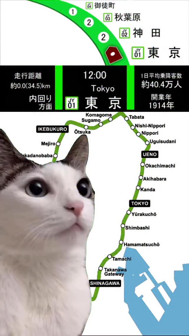まさささ Yamanote line song cat version 😻 🎵wara12270804 | Wander in Japan