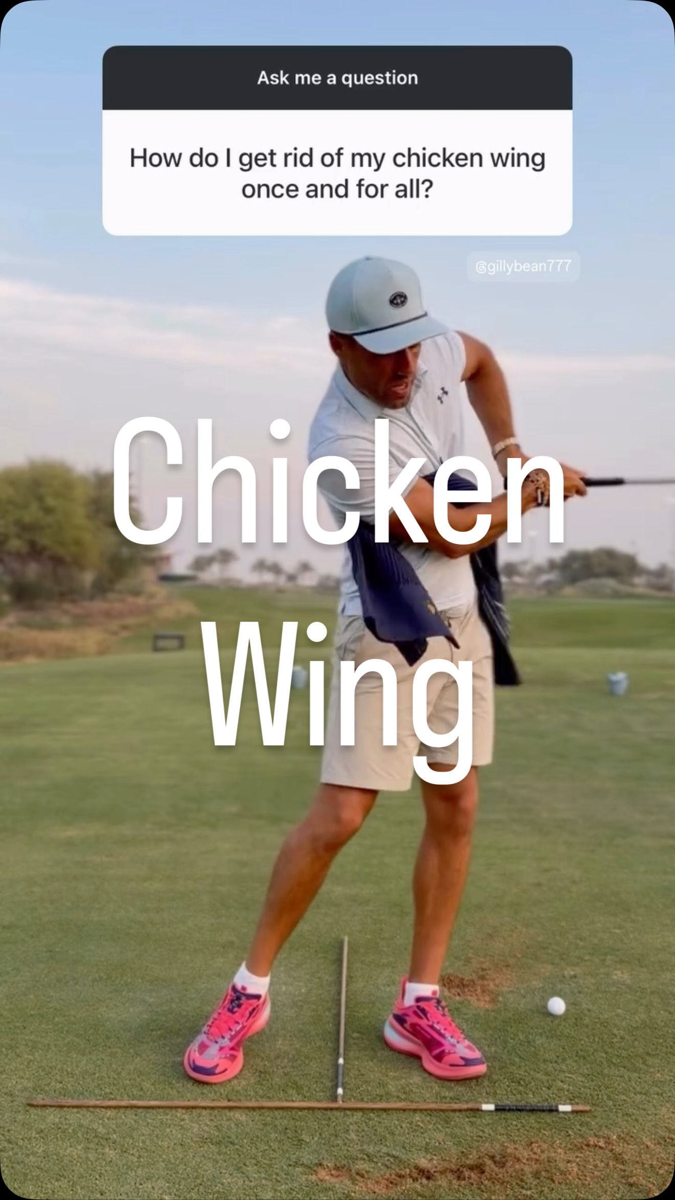 Did you know there is a direct correlation between a chicken wing and ...