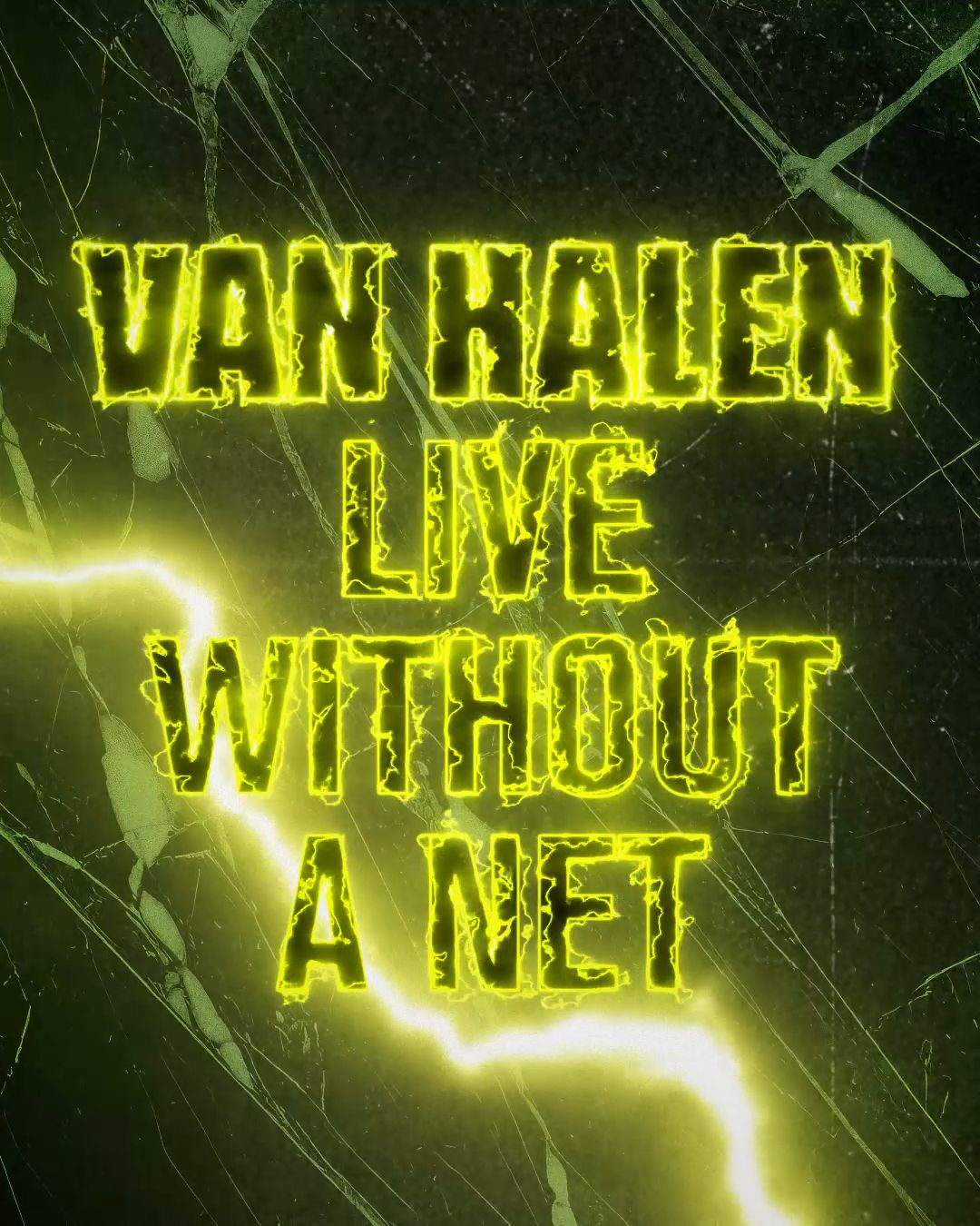 Van Halen Live Without a Net DVD and potential 4k Blu Ray release