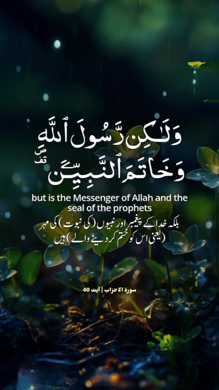 Malik Toheed Awan on Reels | Facebook