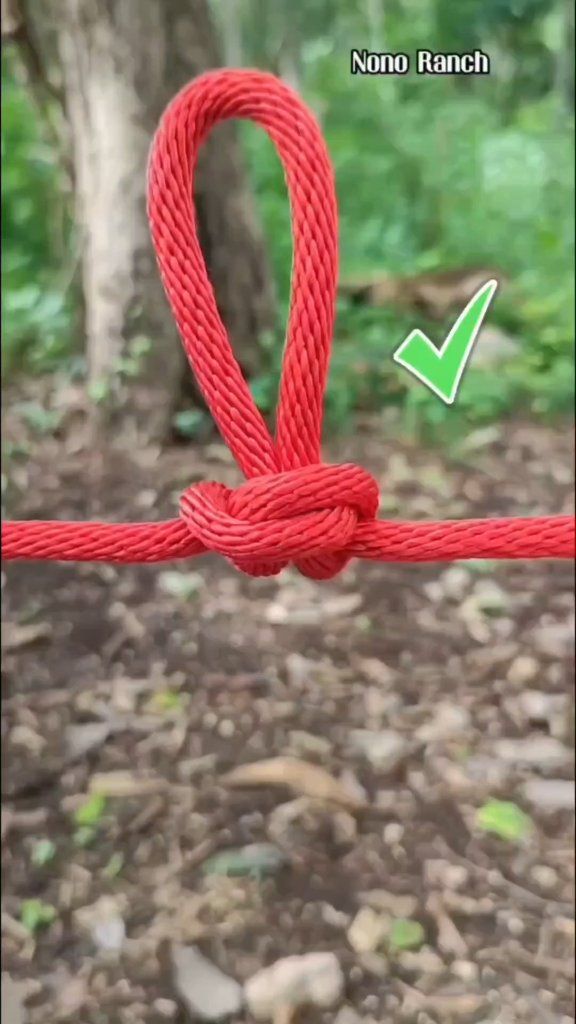 Amarre sencillo y súper práctico que debes aprender 😃💯 | Nono Ranch ...