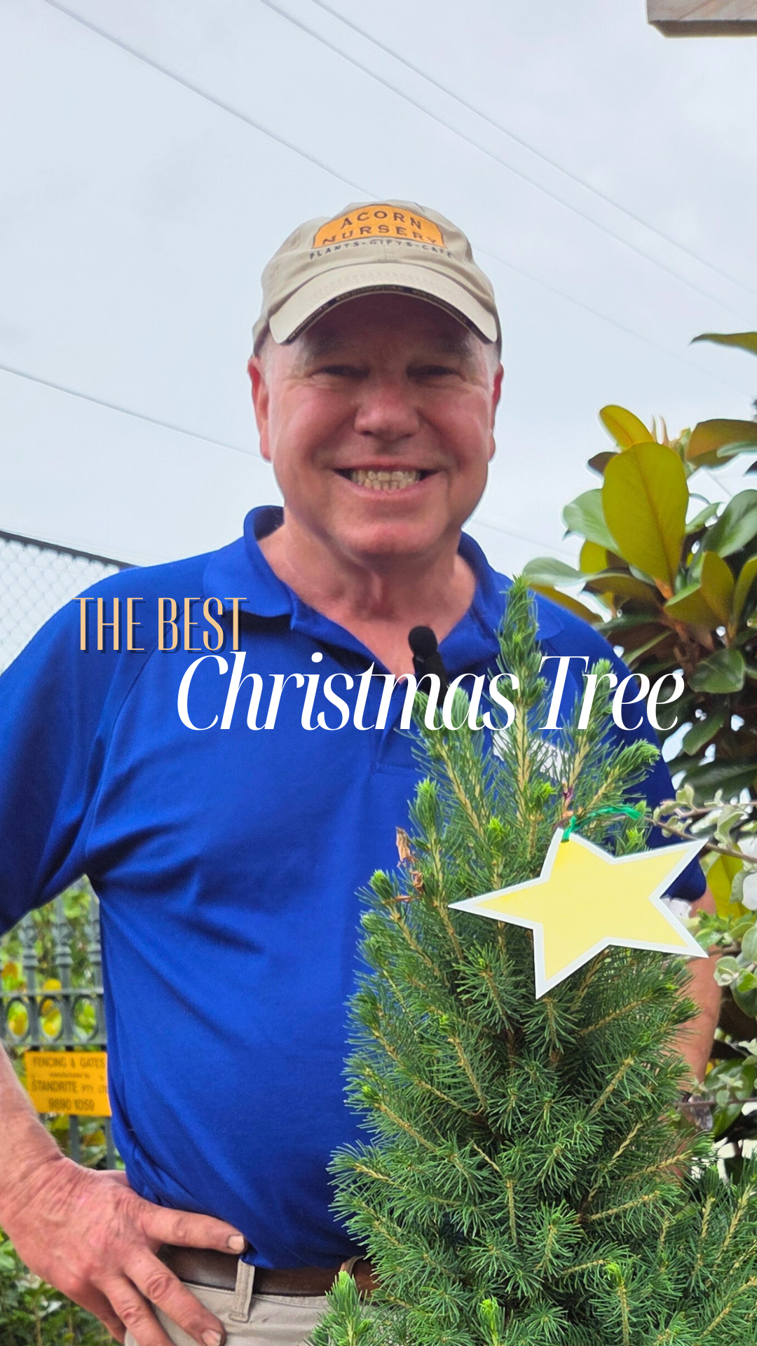 🎄 Tony’s Top Christmas Tree Tips! Tony reveals the best Christmas tree ...