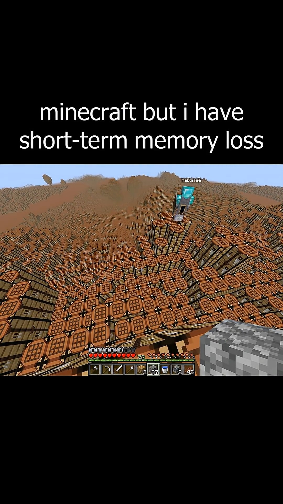 minecraft but i have short term memory loss #minecraftedit | Jysq ...