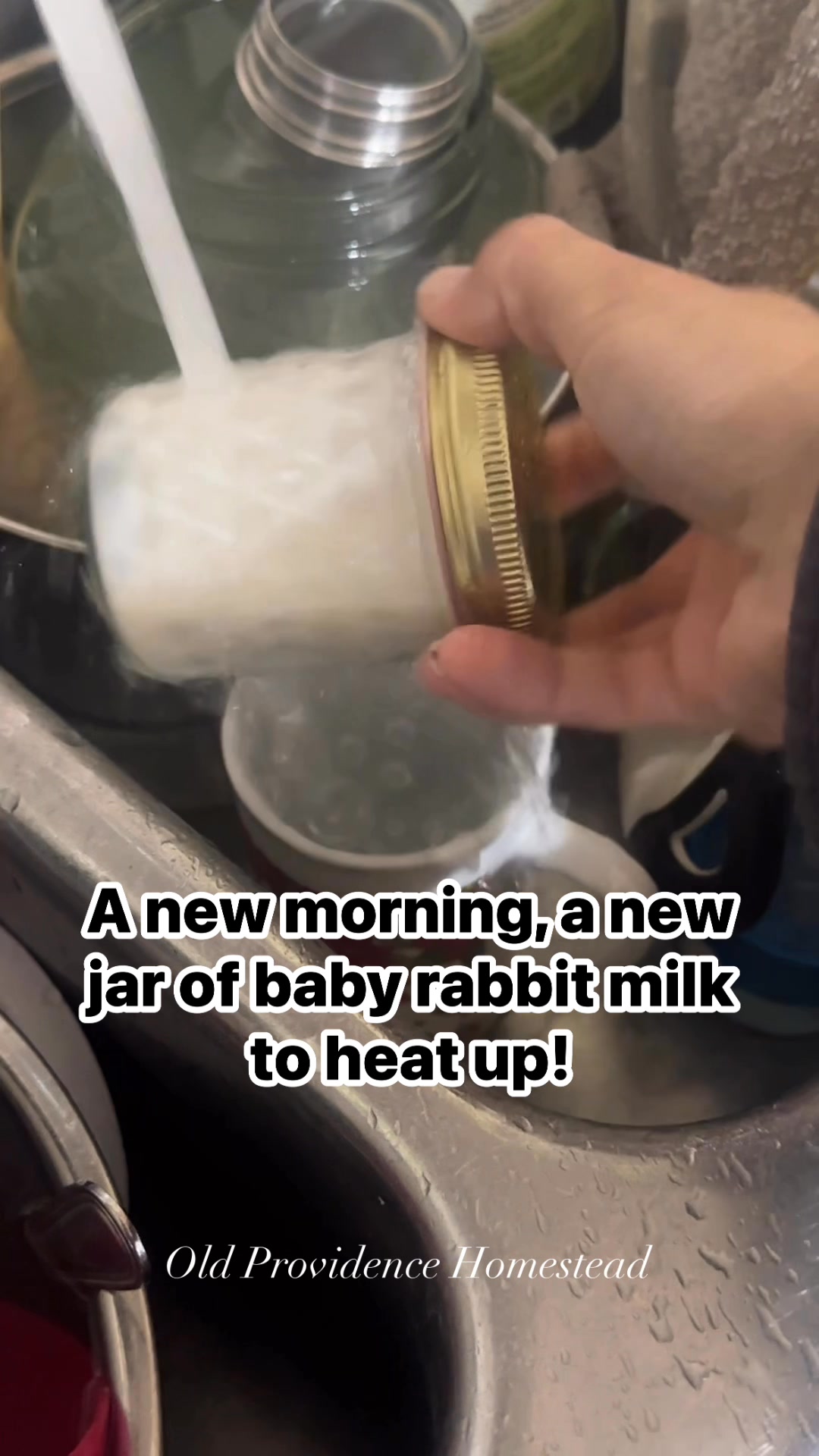 It’s a new day, so heating up the milk for the baby rabbits — twice a ...