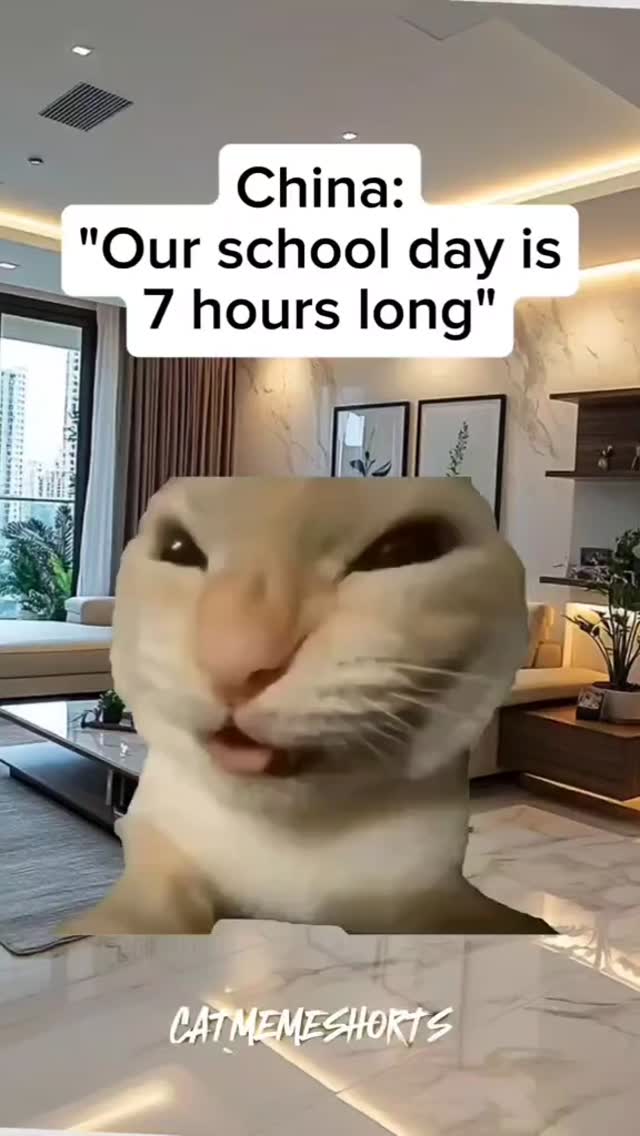 CAT MEMES 😺 Country longest hours? #relatable #catmemes #relationships ...