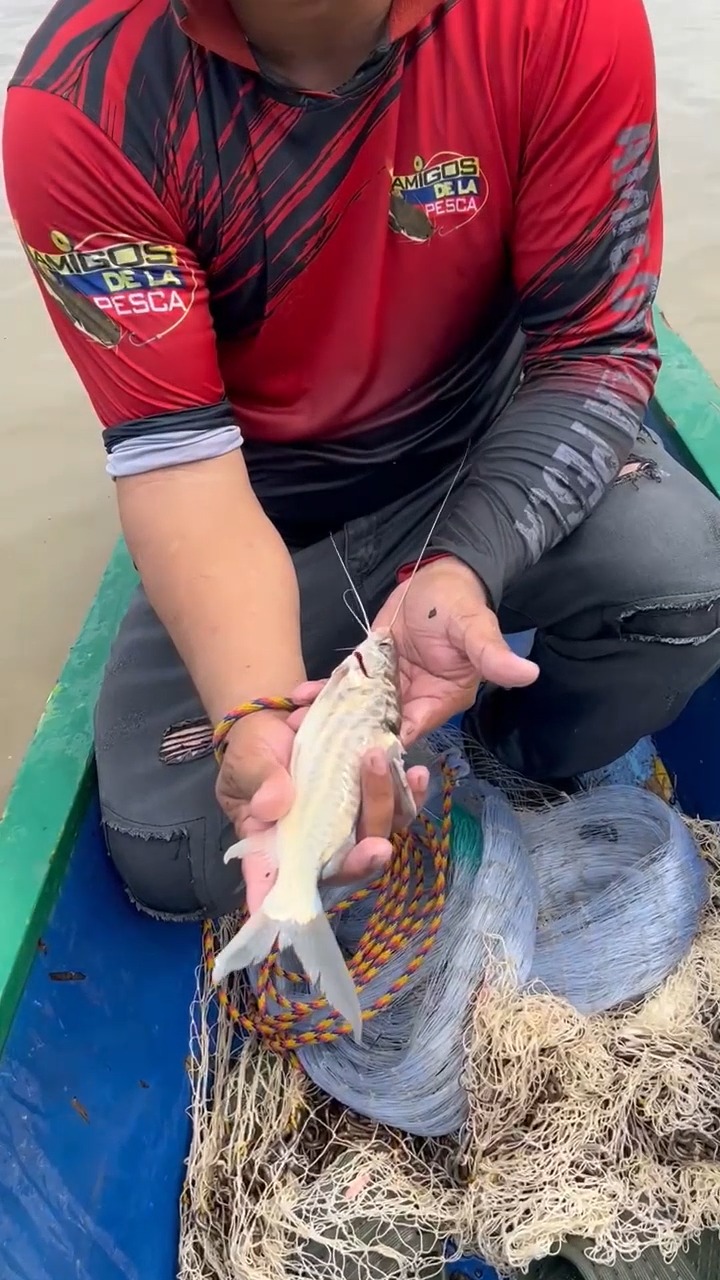 Pesca con tarraya en un rio caudaloso #fblifestyle | Amigos de la Pesca ...