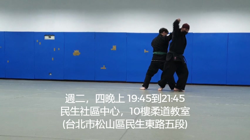 Bujinkan Taiwan 武神館台灣| Taipei