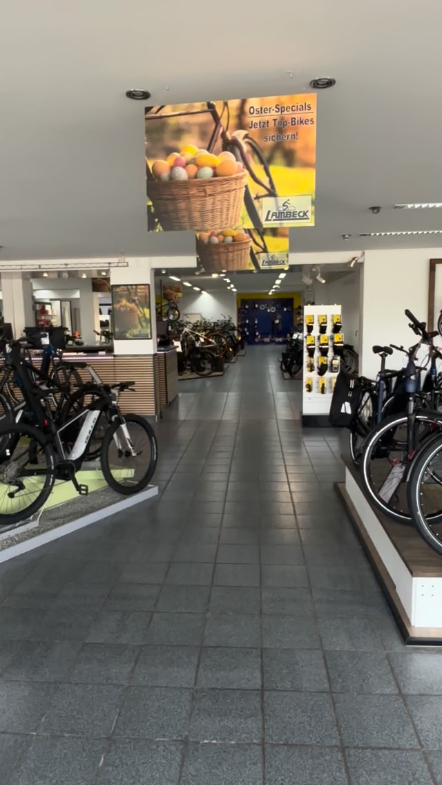 focus gravel bike 6.7 Atlas Slate Grey (2021) Latina League Visible Ausführung:20 L Bio Chaga Pulver 100