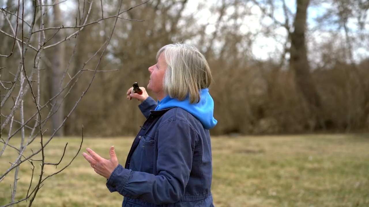 Don't be intimidated to prune your fruit trees! It's key to their long ...