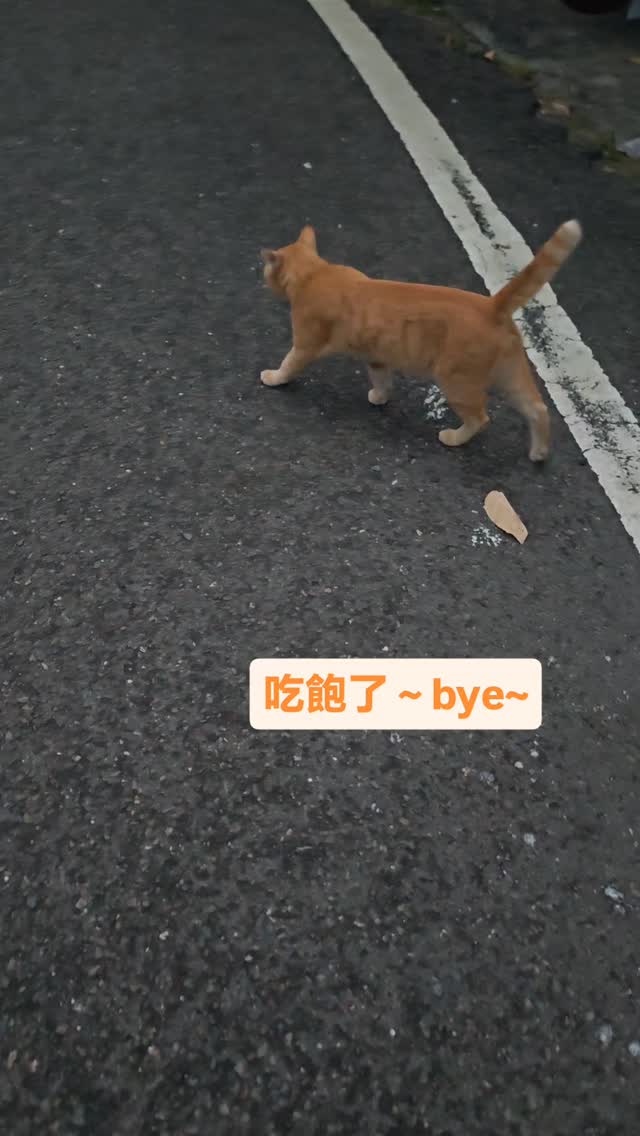 妳可以退下了，bye~ | 78catus | Facebook