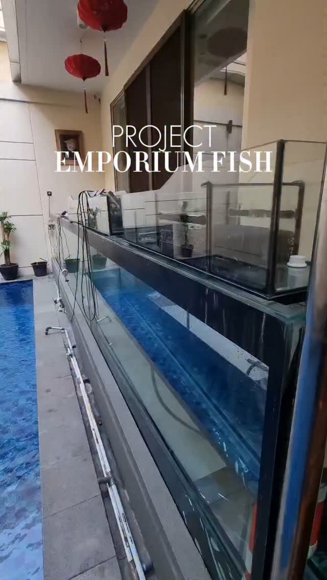 PROJECT 3 AQUARIUM PEMBATASAN RUANG KELUARGA DAN KOLAM RENANG DONE 💪 ...