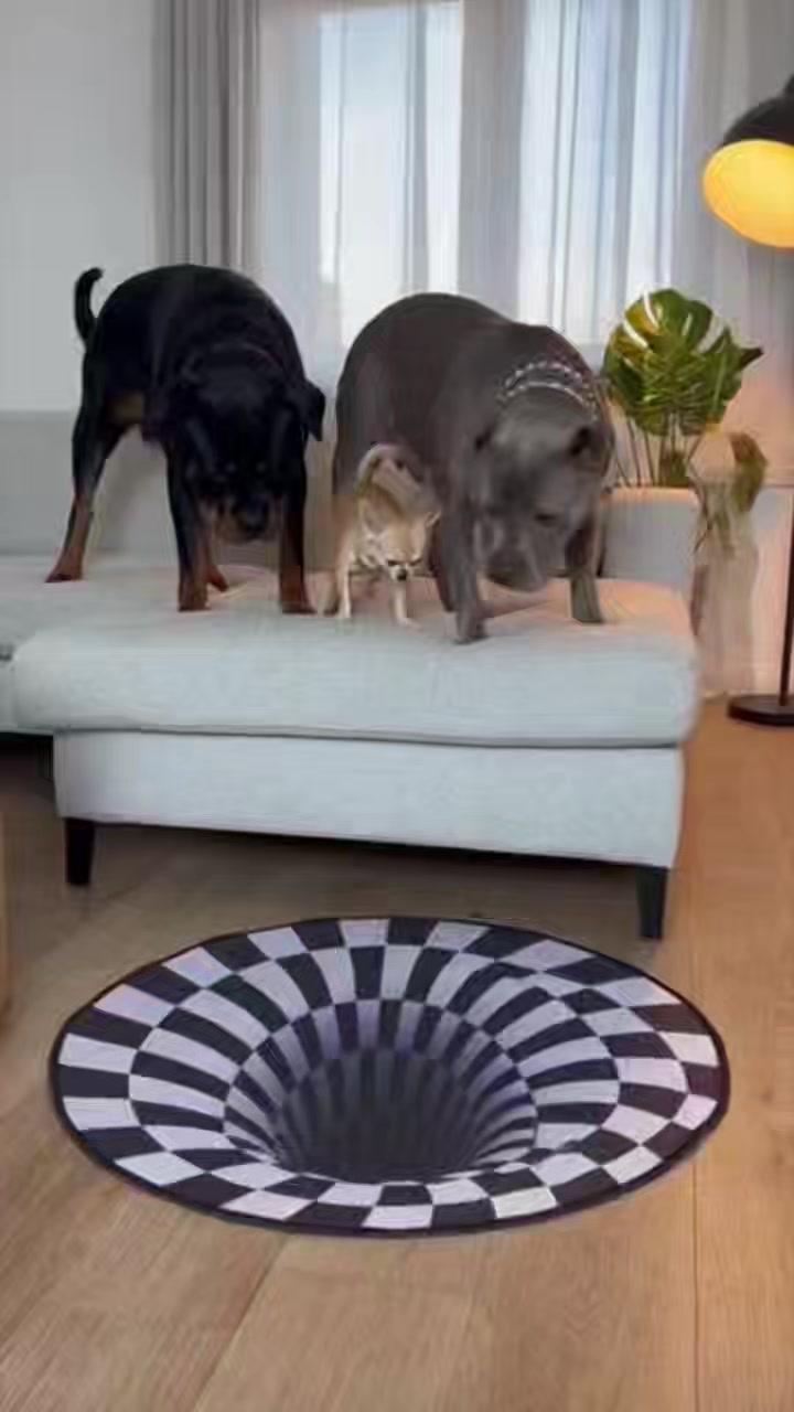 Rottweiler Sacrifices Chihuahua to Check the ‘Bottomless Pit’ 😂 ...