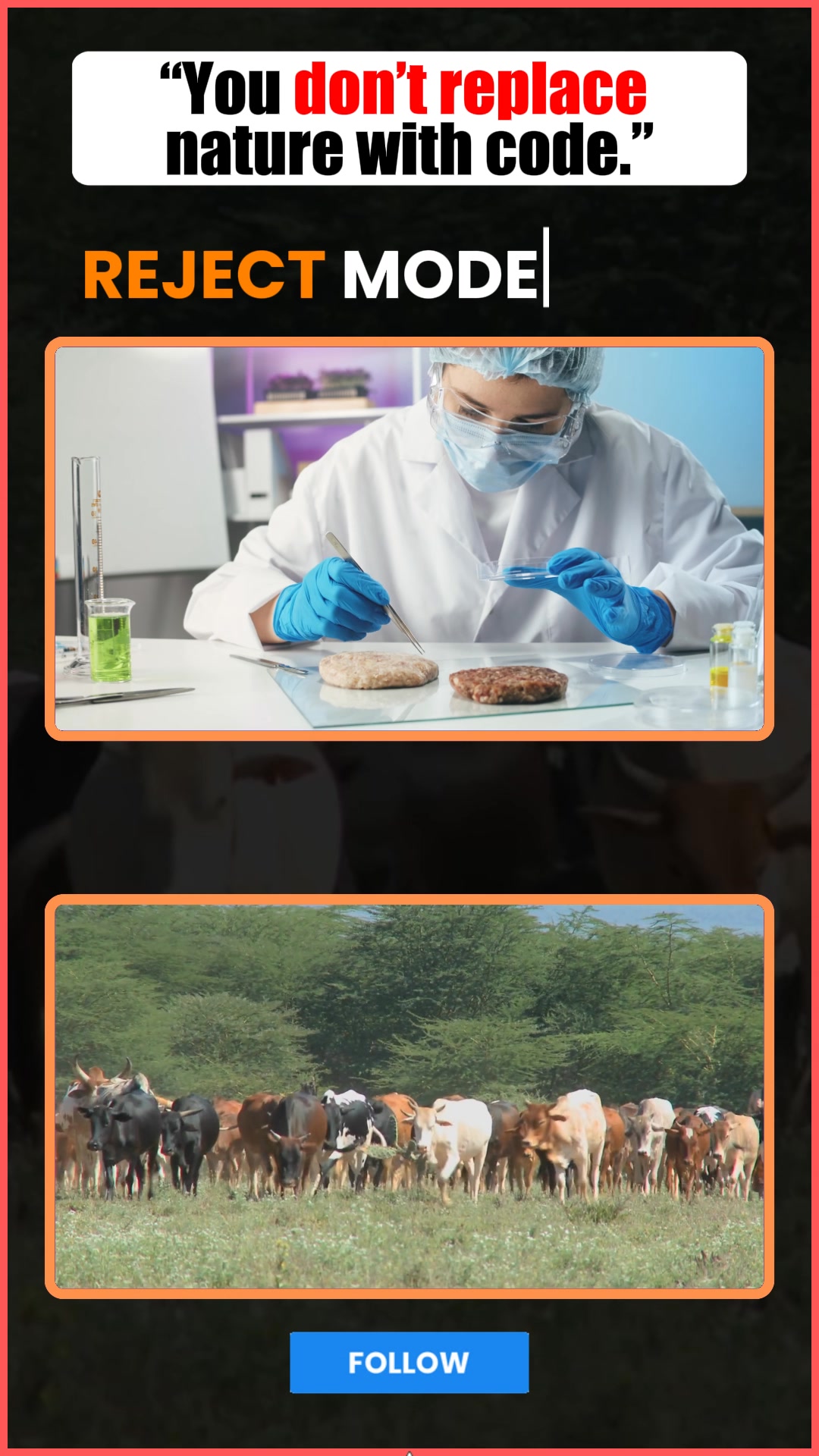 For centuries, humans thrived on real, nutrient-dense food that ...